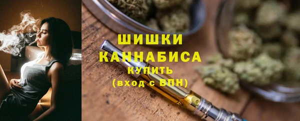 спиды Рославль