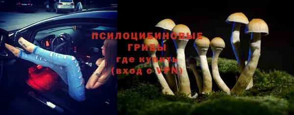 ПСИЛОЦИБИНОВЫЕ ГРИБЫ Верхний Тагил