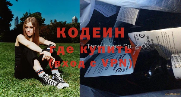 ГАЛЛЮЦИНОГЕННЫЕ ГРИБЫ Верея