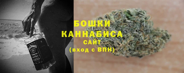 ПСИЛОЦИБИНОВЫЕ ГРИБЫ Верхний Тагил