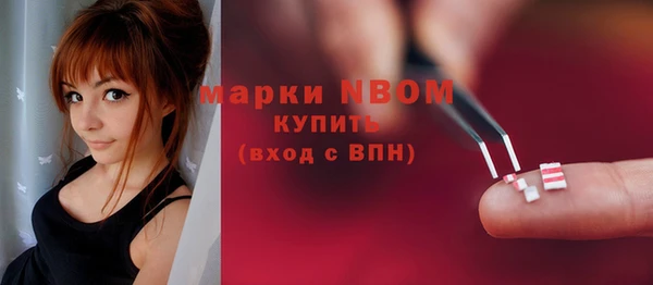 молекула духа Бородино