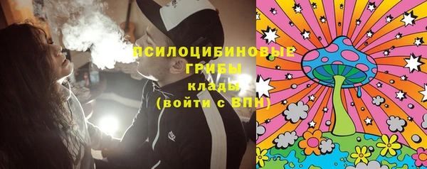 ГАЛЛЮЦИНОГЕННЫЕ ГРИБЫ Верея