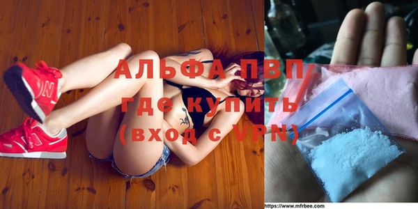 ГАЛЛЮЦИНОГЕННЫЕ ГРИБЫ Верея
