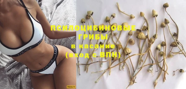 ГАЛЛЮЦИНОГЕННЫЕ ГРИБЫ Верея