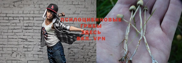 ГАЛЛЮЦИНОГЕННЫЕ ГРИБЫ Верея
