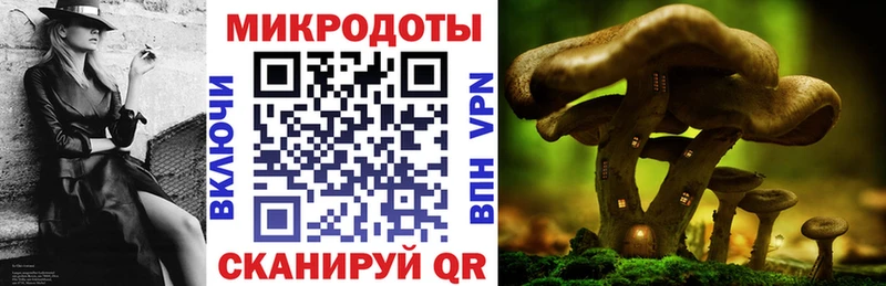 Галлюциногенные грибы мицелий  гидра   Гагарин 